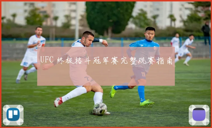 UFC 终极格斗冠军赛完整观赛指南