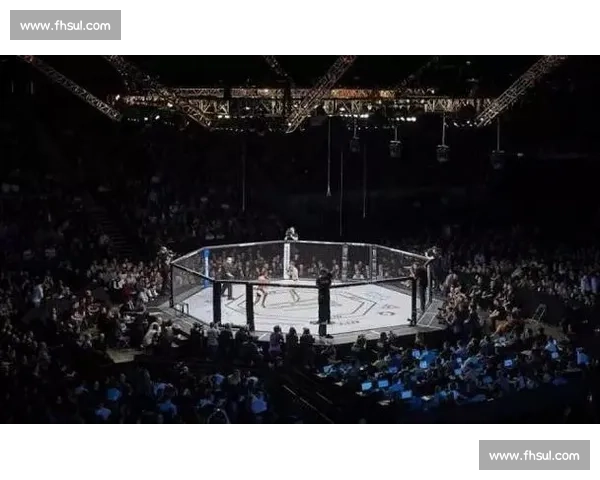 UFC 经济效应:赛事如何影响综合格斗产业